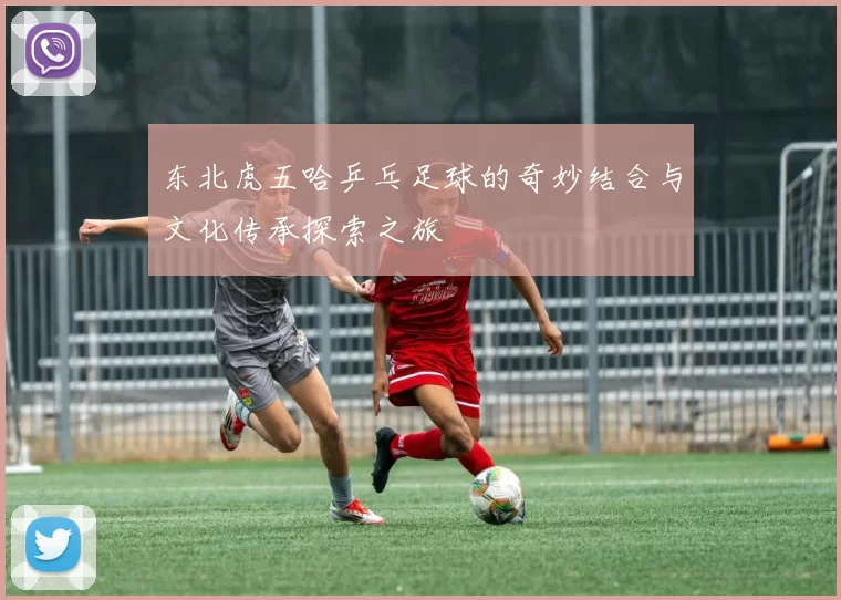 东北虎五哈乒乓足球的奇妙结合与文化传承探索之旅