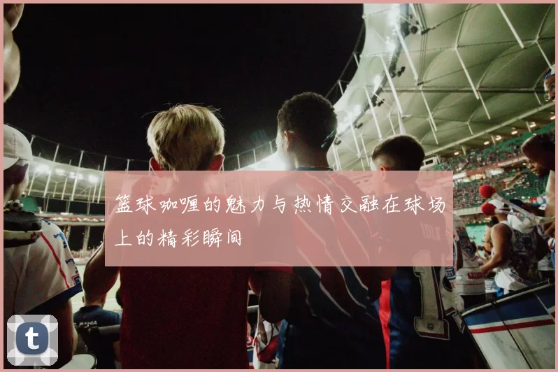 篮球咖喱的魅力与热情交融在球场上的精彩瞬间